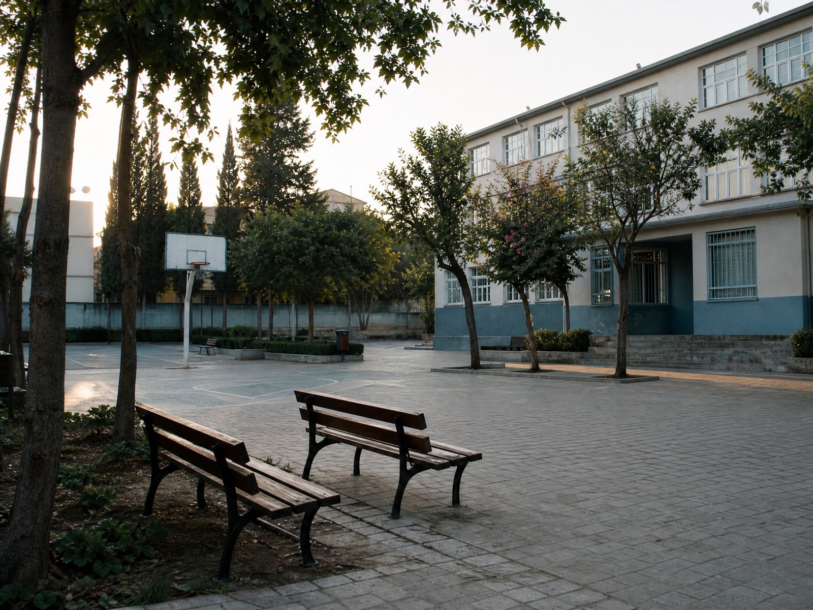 Okul bahçesinde banklar ve basketbol potası